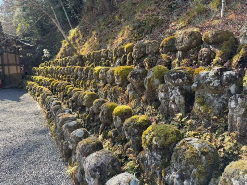 Kyoto Customized Private Tour: See Top Attractions in 1 Day - Key Points