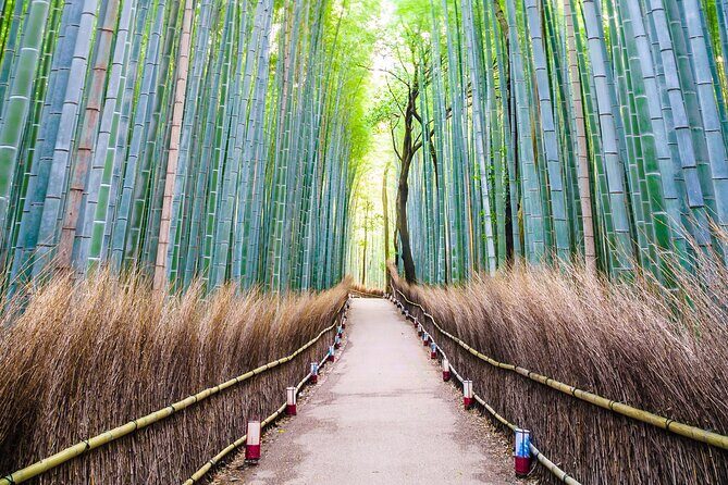 Kyoto Customized Private Tour with English Driver & Hotel Pickup - Experience and Comfort in a Private Setting