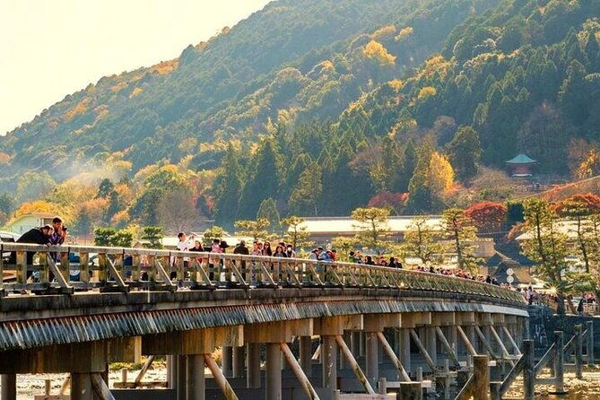 kyoto-day-tour-to-arashiyama-fushimi-inari-and-nara-deer-park