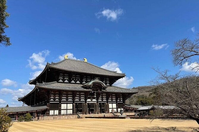 kyoto-day-tour-to-arashiyama-fushimi-inari-and-nara-deer-park