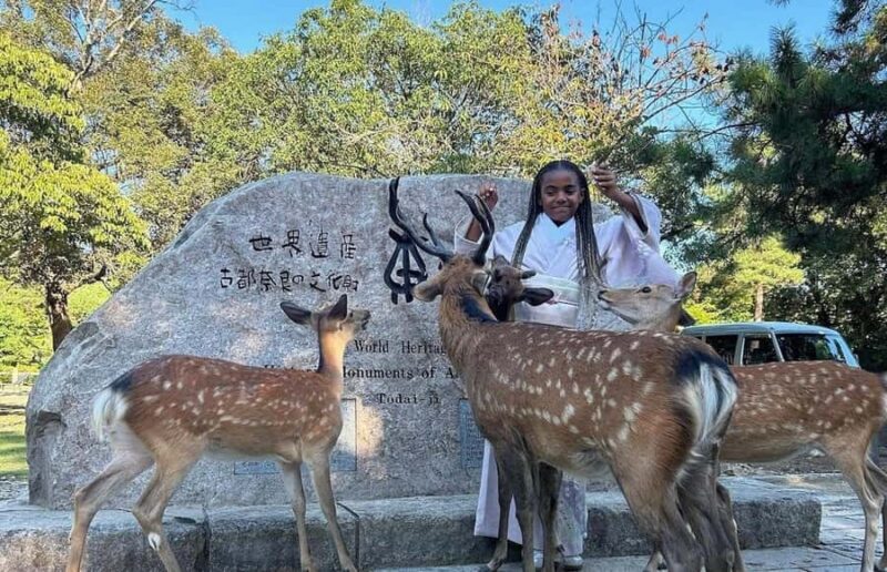 Kyoto Day Tour with an Experienced Local English Guide - FAQ