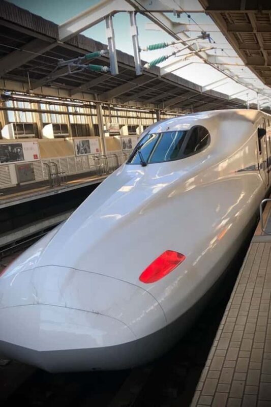 Kyoto Day Trip from Tokyo by Bullet Train Private Tour - The Experience in Detail