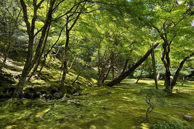 kyoto-discover-every-bit-of-ginkakuji-temple-in-60-minutes