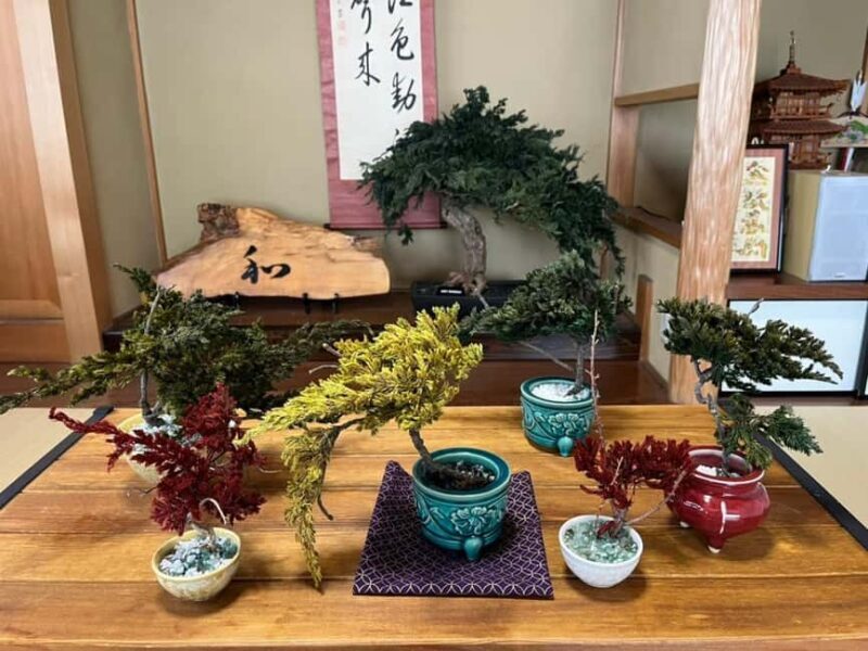 Kyoto: Dry Bonsai Making Workshop - What to Expect from the Dry Bonsai Workshop in Kyoto  