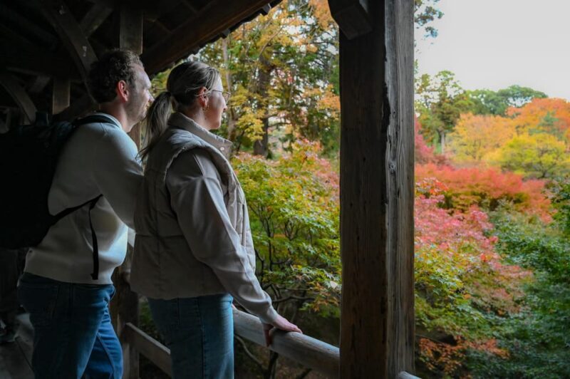 Kyoto: Early Bird E-Bike Tour with Lunch - An In-Depth Look at the Itinerary and Highlights