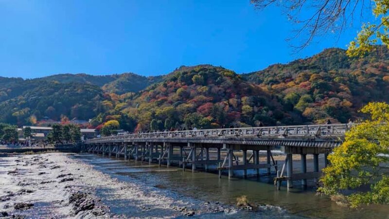 Kyoto Early Bird English Tour: Fushimi-Inari and Arashiyama - Practicalities and Value