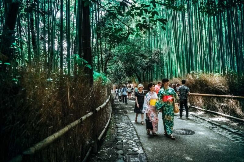 Kyoto Early Bird English Tour: Fushimi-Inari and Arashiyama - Authentic Experience: What Reviewers Say