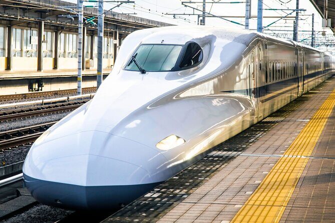 Kyoto Early Bird Tour Tokyo Round Trip Shinkansen Option - The Itinerary Breakdown: What to Expect