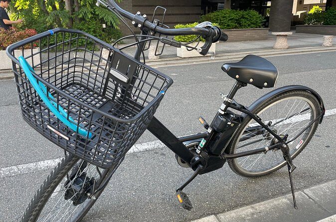 Kyoto Early Morning E Biking Tour (Shrines & Temples) - Who Should Consider This Tour?