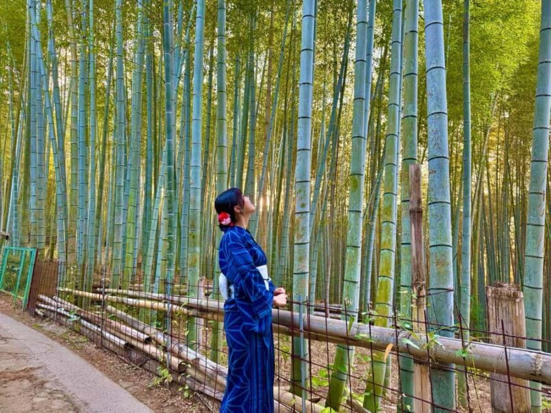 Kyoto Early Morning English Tour: Fushimi Inari & Gion - Who Should Book This Tour?