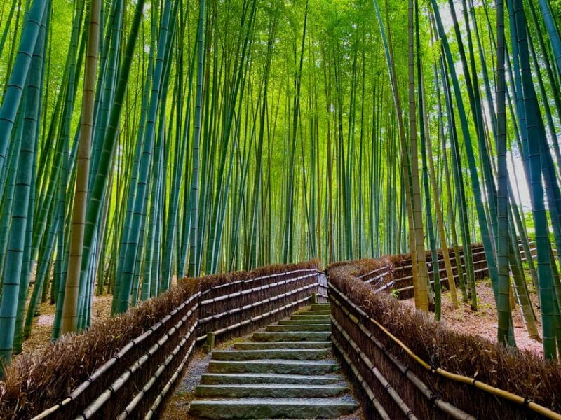 kyoto-early-morning-walking-tour-nature-history