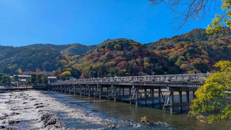 kyoto-early-morning-walking-tour-nature-history