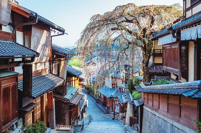 Kyoto East Early Morning Walking Tour - Why You Should Do This Tour