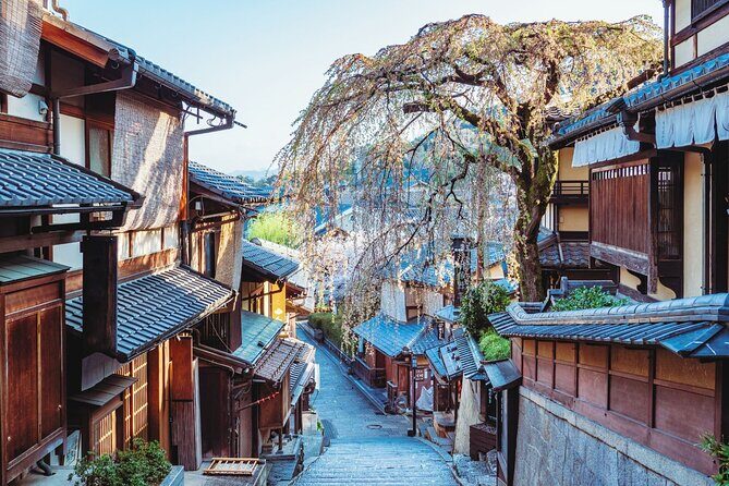 Kyoto East Early Morning Walking Tour - FAQ