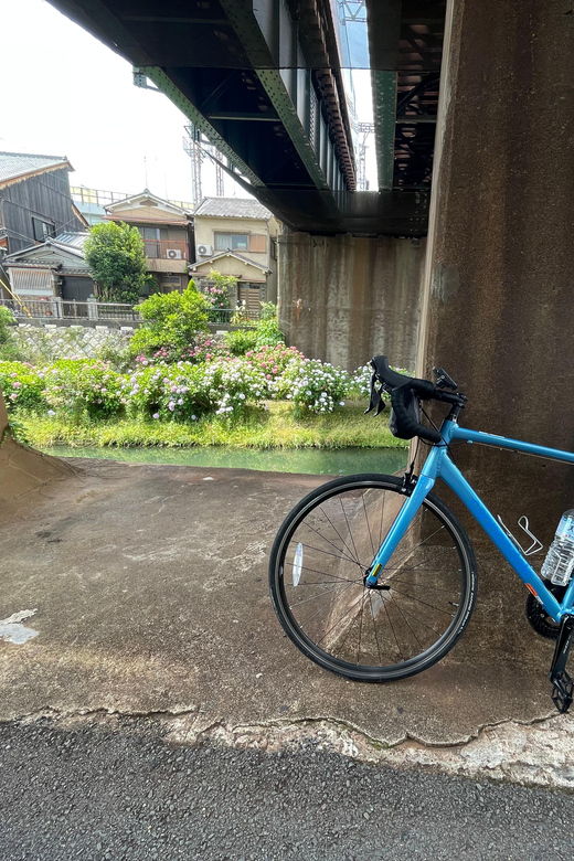 kyoto-east-kyoto-half-day-cycling-tour