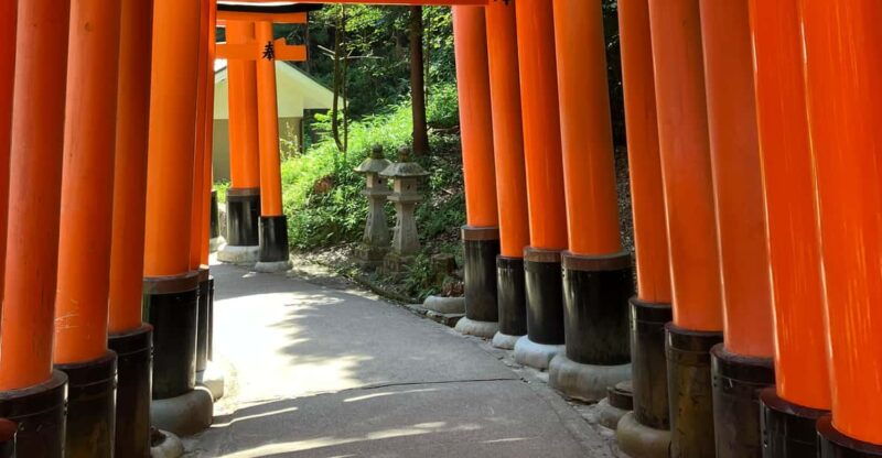 kyoto-essential-tour-with-fushimi-inari-bamboo-grove