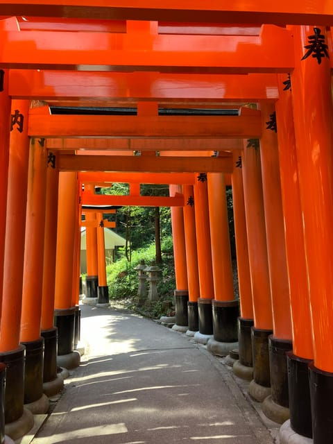 kyoto-essential-tour-with-fushimi-inari-bamboo-grove