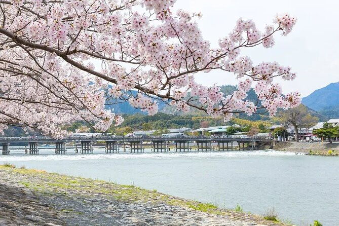 kyoto-exclusive-private-tour-with-vehicle-professional-guide