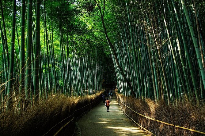 kyoto-flexible-3-hours-tour-with-a-local-guide