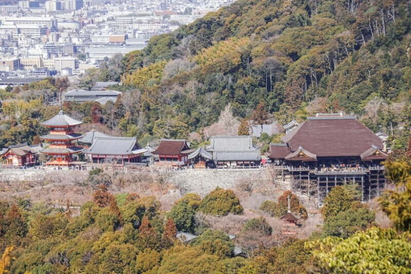 Kyoto from Above: Hike Mt. Amida with Kiyomizu Views - Who is This Tour Best For?