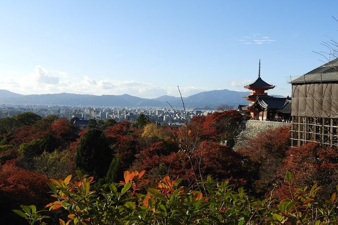 kyoto-full-day-8-hours-ultimate-sightseeing-private-tour