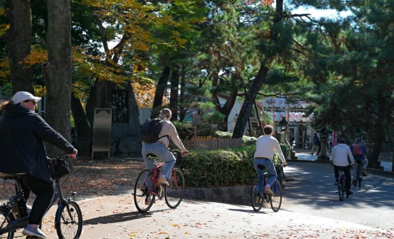 Kyoto: Full Day Bike Tour - The Sum Up: Who is This Tour Best For?