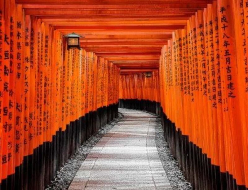 Kyoto Full Day Customizable Private Tour with English Guide - Practical Considerations and Value