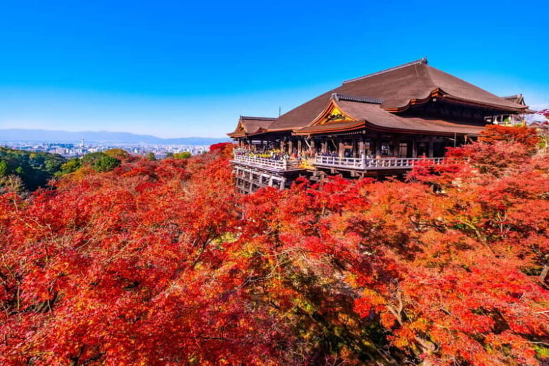 Kyoto: Full-Day Guided Tour of Kyoto's Top Highlights - FAQ