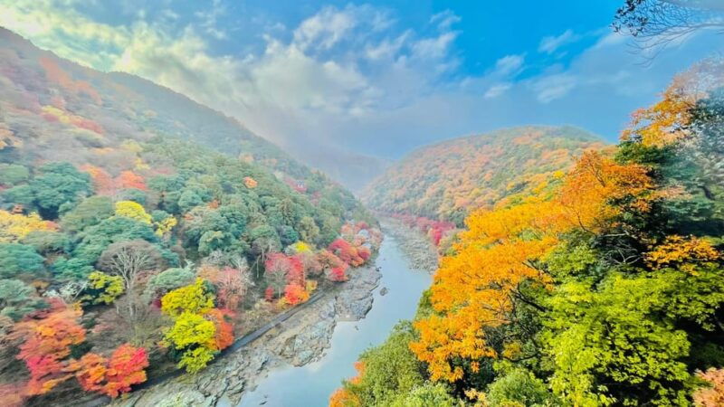 kyoto-full-day-highlight-guided-tour-with-expert-tour-guide