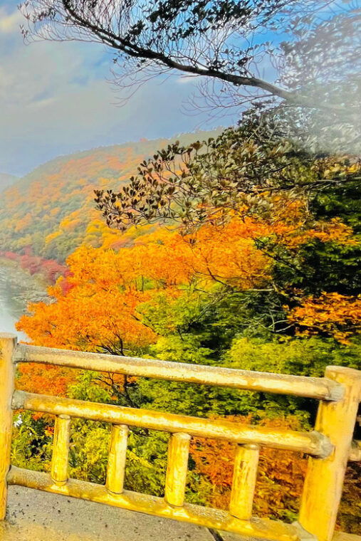 kyoto-full-day-highlight-guided-tour-with-expert-tour-guide