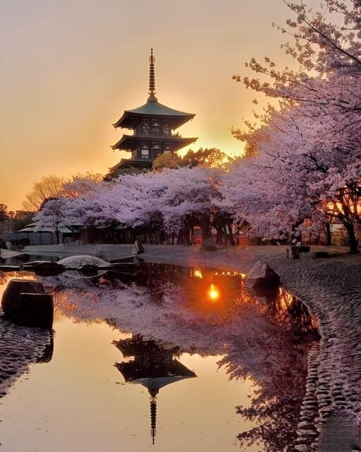 Kyoto full day private day trip with English speaking driver - Final Thoughts