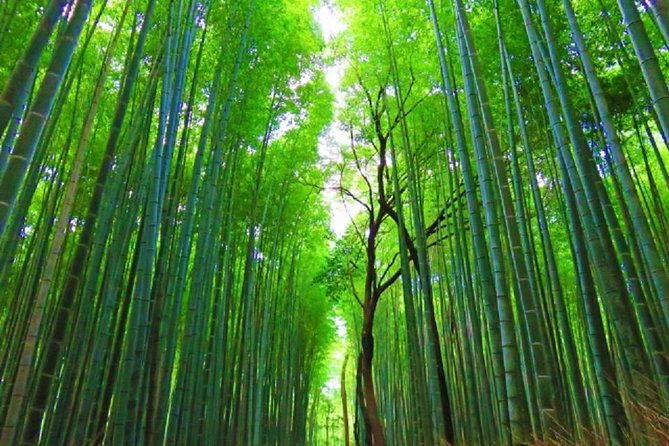 kyoto-full-day-private-tour-by-public-transportation