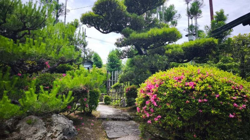 Kyoto: FUN Calligraphy Experience  Launch Special! - Why This Calligraphy Tour Is Worth Considering  