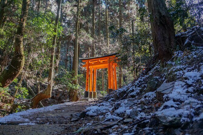 Kyoto: Fushimi Inari Hidden Hike (Private) - Exploring the Fushimi Inari Hidden Hike: A Truly Authentic Kyoto Experience