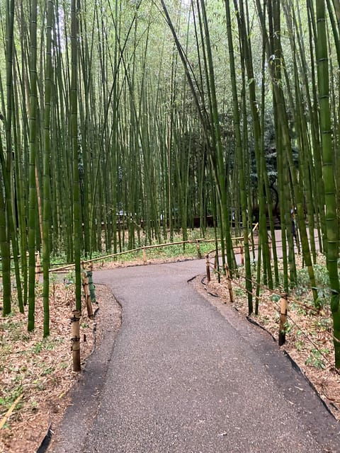 kyoto-fushimi-inari-kinkakuji-bamboo-grove-private-tour