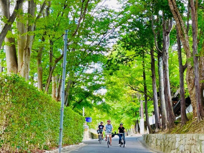 kyoto-fushimi-inari-shrine-and-tofukuji-temple-e-bike-tour