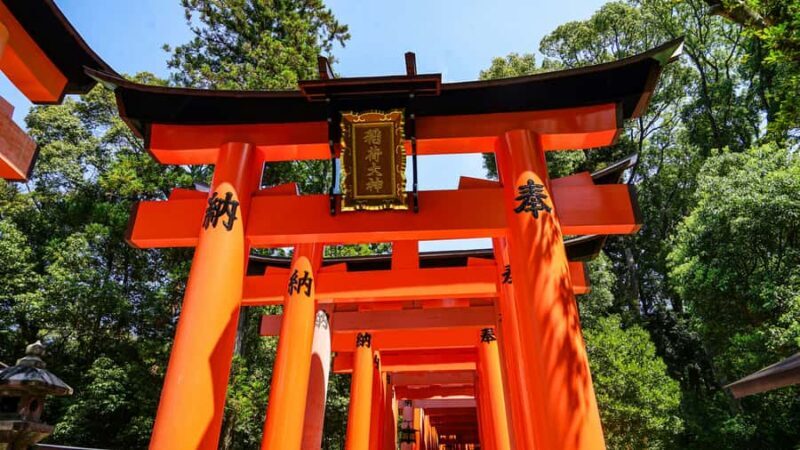 Kyoto: Fushimi Inari Shrine & Nijo Castle Highlights Tour - How the Tour Works: Flow and Logistics