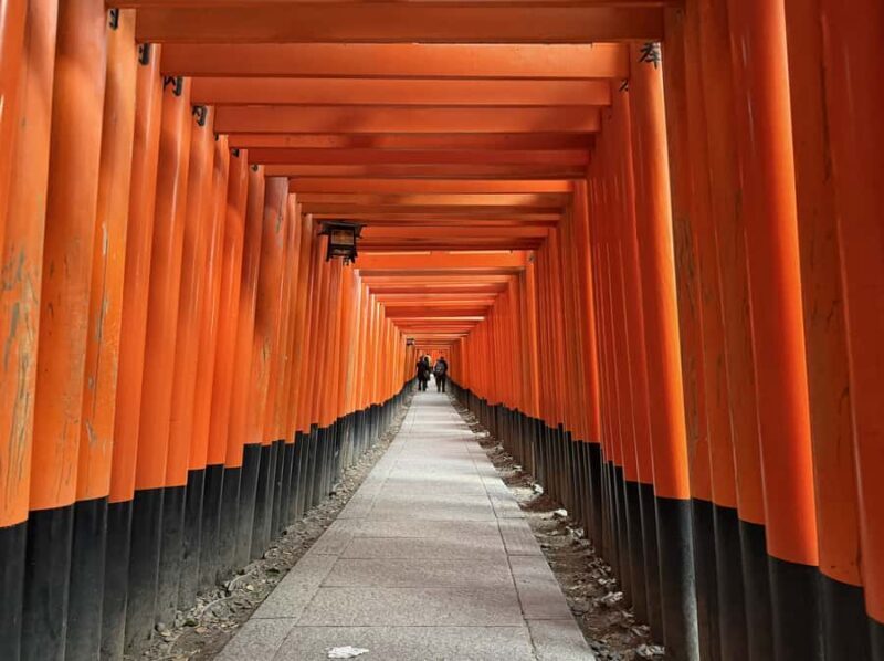 Kyoto: Fushimi Inari Shrine Walking Tour - Key Points