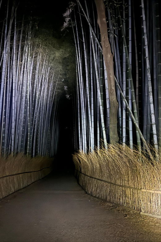 kyoto-ghost-tour-dark-tales-legends-bamboo-forest-night
