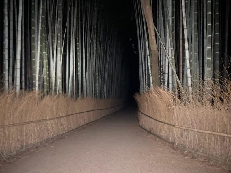 kyoto-ghost-tour-dark-tales-legends-bamboo-forest-night