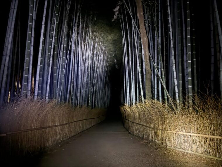 kyoto-ghost-tour-dark-tales-legends-bamboo-forest-night