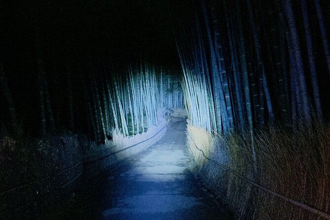 kyoto-ghost-tour-dark-tales-urban-legends-bamboo-forest-night