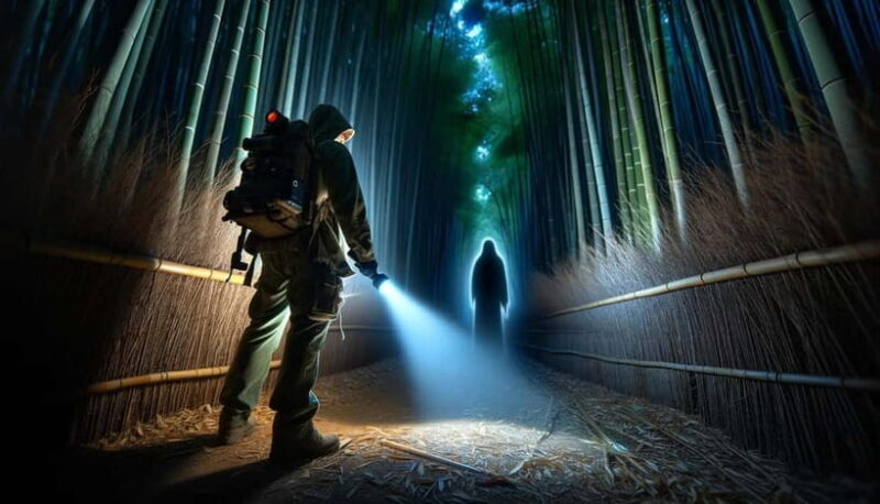 Kyoto: Ghost Tour - Legends, Dark Tales, Bamboo Forest Night - The Value of This Experience