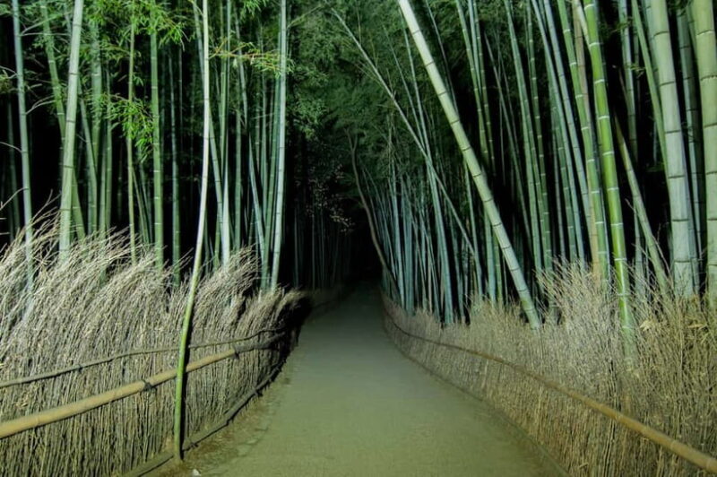 Kyoto: Ghost Tour - Legends, Dark Tales, Bamboo Forest Night - Practicalities and Tips
