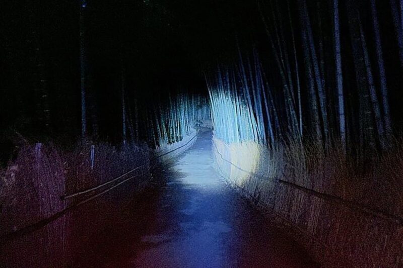 Kyoto: Ghost Tour - Legends, Dark Tales, Bamboo Forest Night - Why We Think You’ll Love This Tour