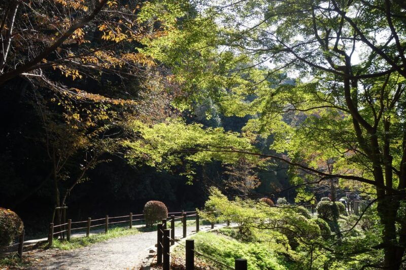 kyoto-ginkakuji-and-the-philosophers-path-guided-bike-tour