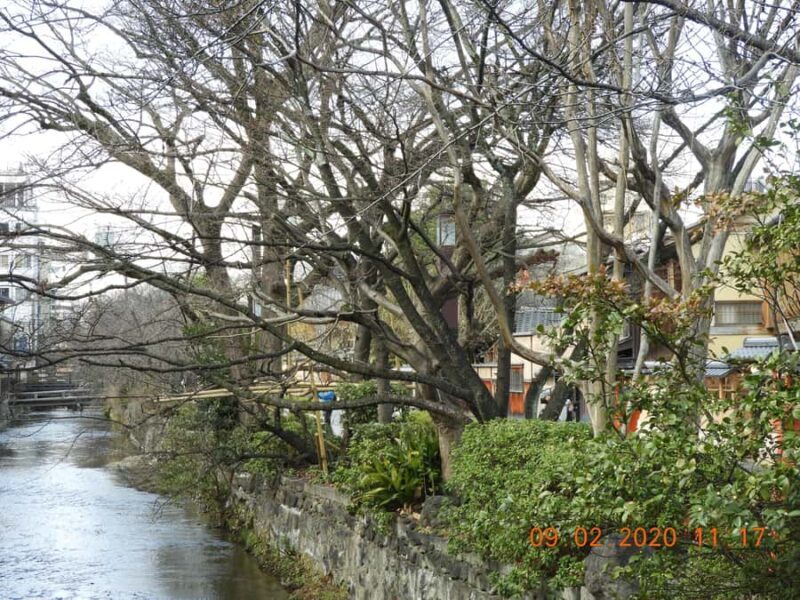 Kyoto: Gion Geisha District Guided Walking Tour - Practical Details