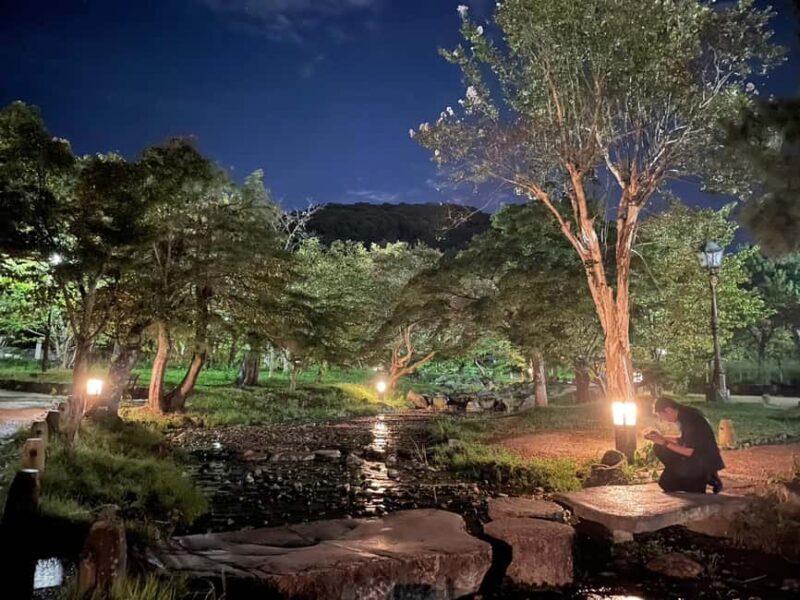 Kyoto: Gion & Geisha District Night Time Walking Tour - FAQ