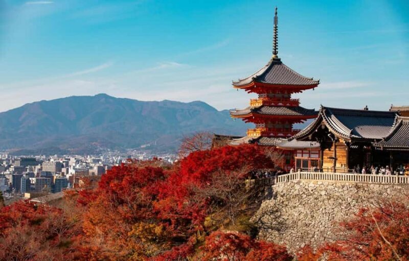 Kyoto, Gion & Nara: Culture & Heritage Full-Day Tour - A Practical Guide to the Kyoto, Gion & Nara Full-Day Tour