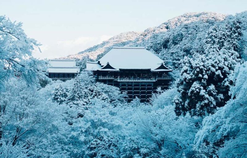 Kyoto, Gion & Nara: Culture & Heritage Full-Day Tour - Price and Value